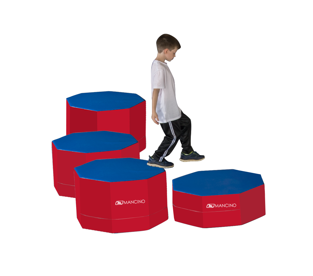 Warrior Fitness Octa-Posts