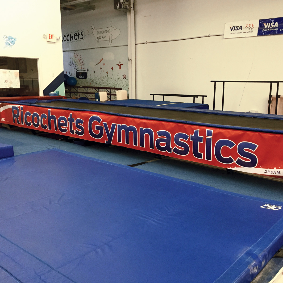 tumbl trak skirt with graphics and logo