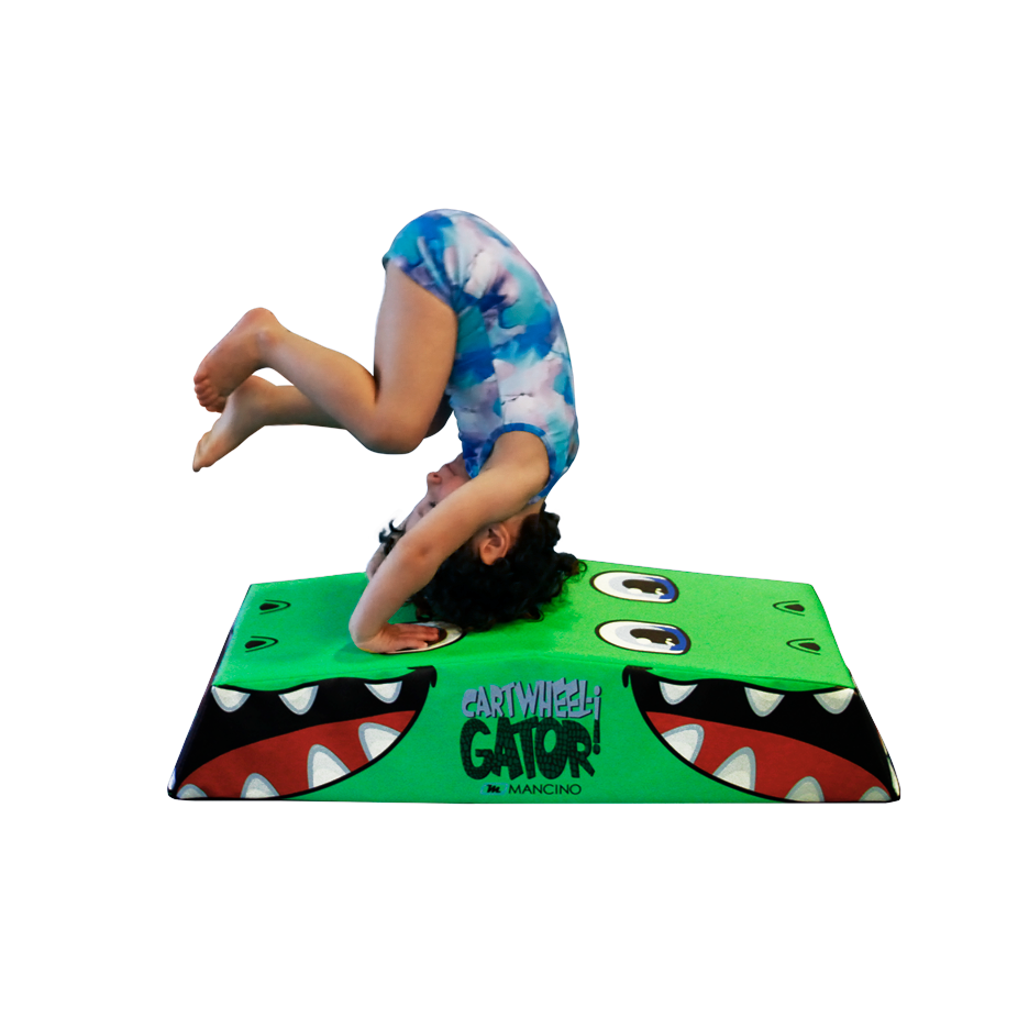 The "Later Gator" Preschool Training Set - Image 7